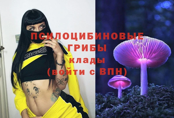 PSILOCYBIN Балахна