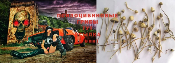 прущая мука Балабаново